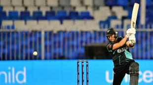 New Zealand and South Africa face off in Women's T20 World Cup final 