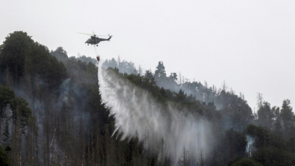 Hunderte Feuerwehrleute weiter im Einsatz gegen Waldbrand in Sächsischer Schweiz