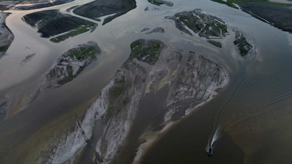 "Situación crítica" en afluentes del río Amazonas por la sequía en Brasil