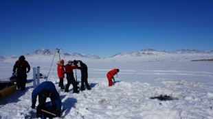 Le réchauffement climatique pourrait provoquer un "débordement viral" depuis l'Arcticque 