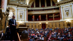 Piratas prorrusos reivindican el bloqueo de la web del Senado francés