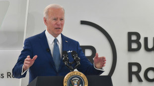 Biden says Putin considering using chemical, biological weapons in Ukraine