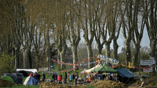 Autoroute Toulouse-Castres: des opposants sur des arbres pour arrêter le chantier