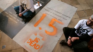 UK climate activists target Darwin's grave with chalk 