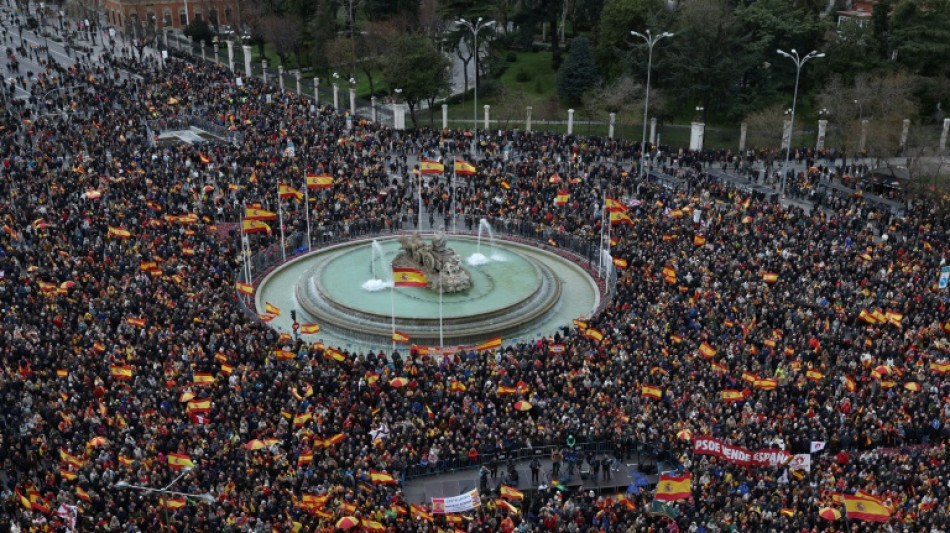 Una protesta en Madrid contra la amnistía pide la dimisión de Pedro Sánchez