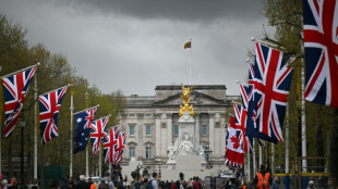 Mann soll Patronen auf Gelände des Buckingham-Palasts geworfen haben