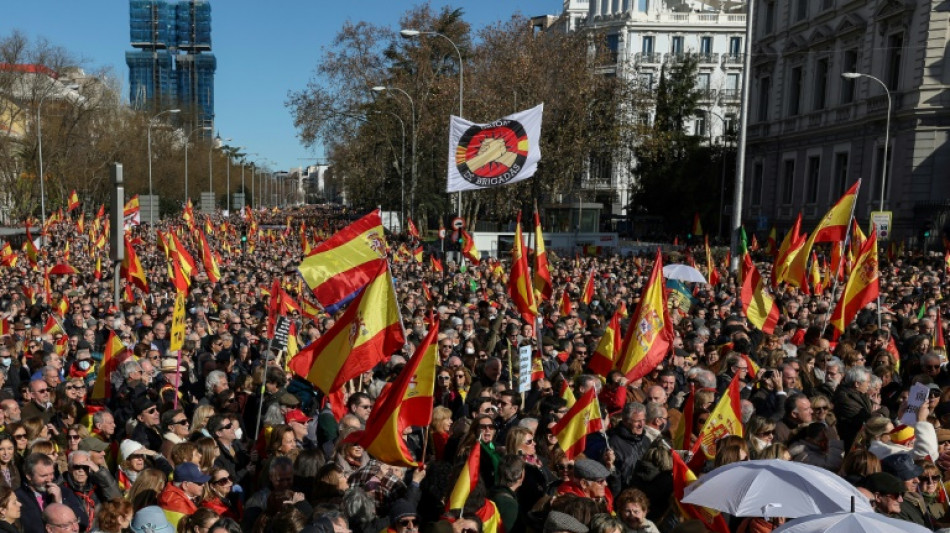 Manifestación de la derecha y ultraderecha contra el gobierno español