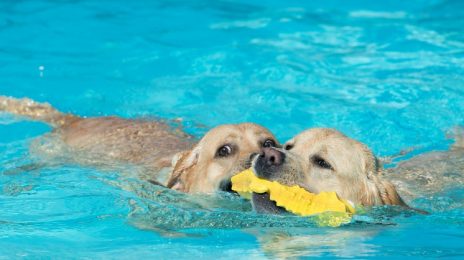 Vor Bau von Pool auf Gemeinschaftseigentum müssen andere Eigentümer zustimmen