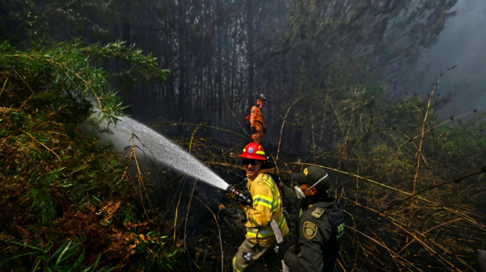 Colombia en alerta por veintena de incendios forestales en medio de récord de calor