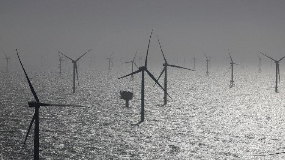 Bauarbeiten an Stromtrasse Suedlink in Schleswig-Holstein begonnen