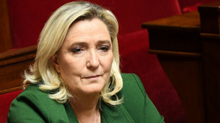 Ingérence étrangère et prêt russe au RN: Marine Le Pen entendue mercredi à l'Assemblée