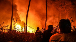 Incendies: la Gironde "mieux préparée" mais prudente pour l'été d'après