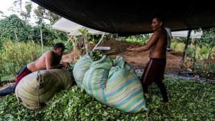 La insospechada crisis del negocio de la cocaína en Colombia