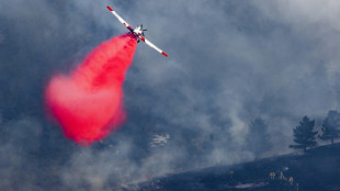 Fast 20.000 Menschen müssen wegen Brand in Rocky Mountains ihre Häuser verlassen