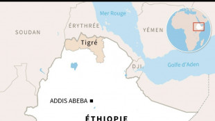 Ethiopie: 10 morts dans deux bombardements aériens sur la capitale de la région rebelle du Tigré