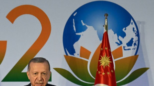 Erdogan pide no "marginar" a Rusia en el acuerdo de granos 