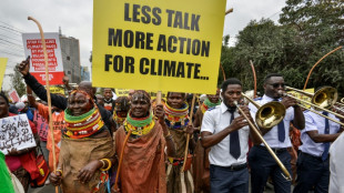 African leaders to push for finance at climate summit