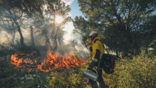 Dans l'Aude, les pompiers manient le feu l'hiver pour limiter les incendies en été