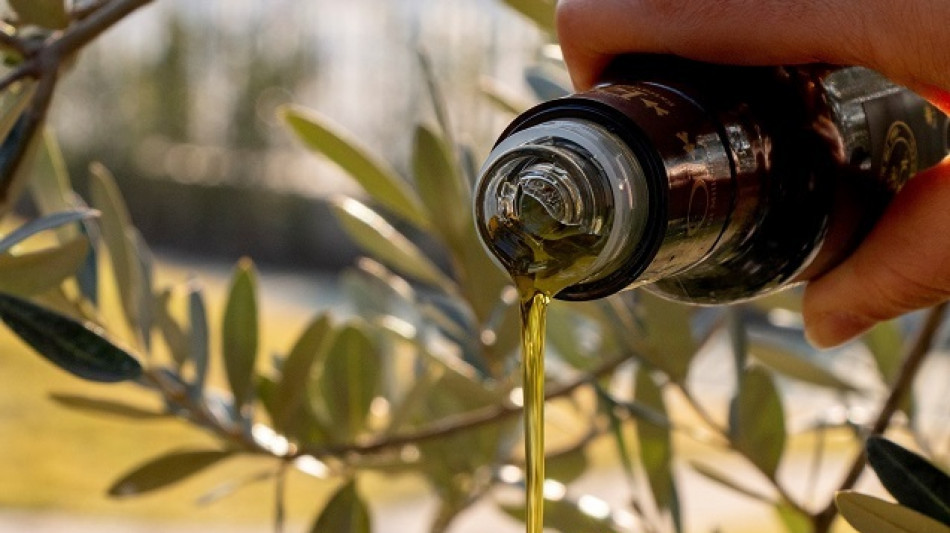 Rincari record per l'olio nel 2024, luce +108% dal 2022