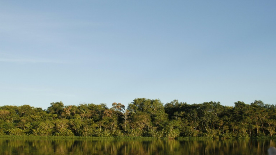 Equador diz que perderá US$ 1,2 bi/ano se suspender extração de petróleo na Amazônia