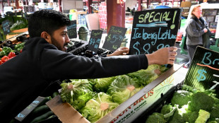 Australische Regierung berät über starken Preisanstieg bei Kopfsalat