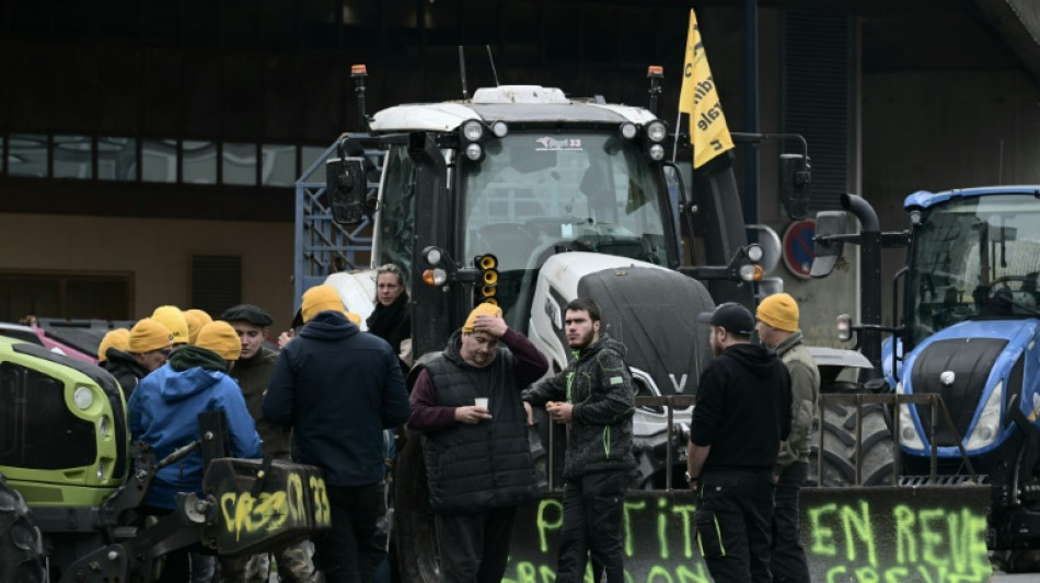 Französische Bauern protestieren weiter gegen Mercosur-Abkommen