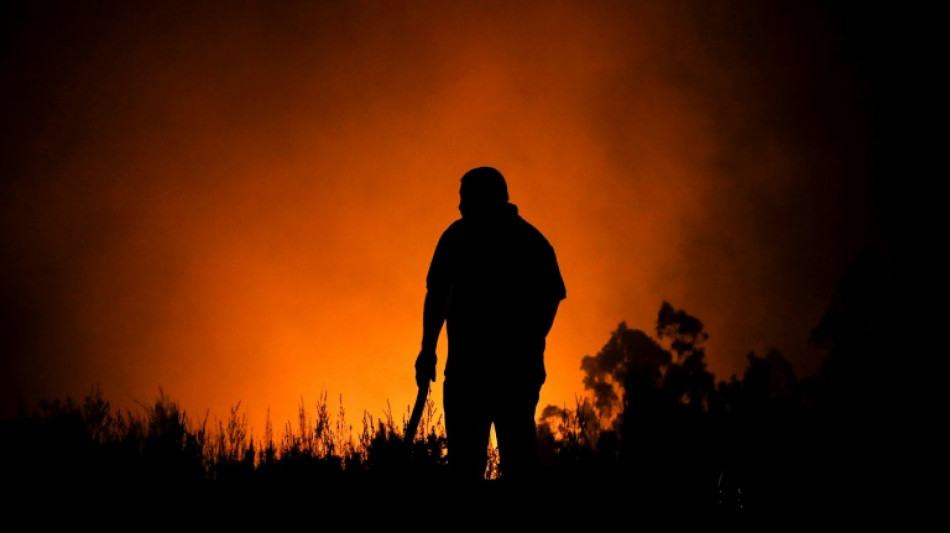 Los incendios en Chile cumplen una semana sin control pese al combate incesante