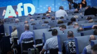 Verfassungsschutz schweigt vorläufig zu Kandidatenkür der AfD für Europawahl