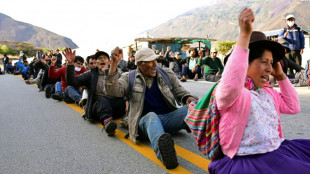 La UE exhorta al nuevo gobierno de Perú a respetar los DDHH tras 21 muertos en las protestas