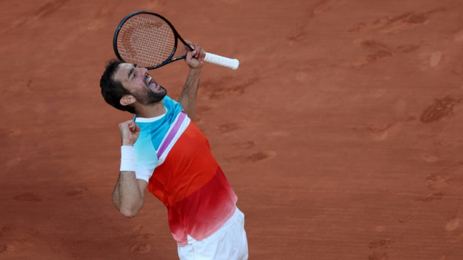 Cilic hits 33 aces to reach first French Open semi-final