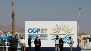 Alemania critica la situación de los DDHH en Egipto, sede de la COP27