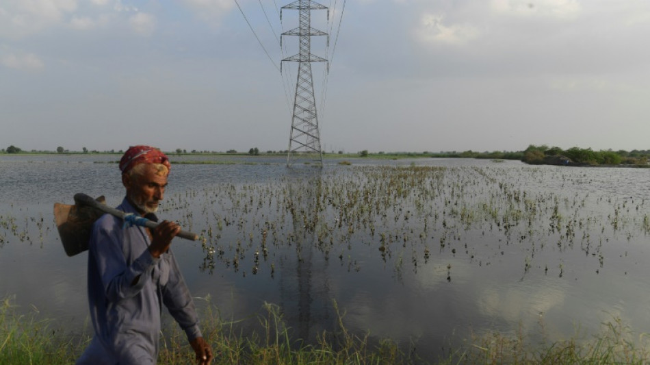 Inondations au Pakistan: les agriculteurs "revenus 50 ans en arrière"