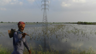 Inondations au Pakistan: les agriculteurs "revenus 50 ans en arrière"