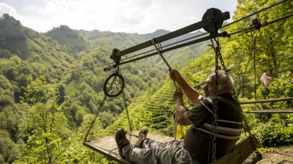 Deathtrap cable cars spook Turkey's intrepid tea farmers