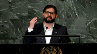 Boric insta en la ONU a enfrentar problemas con "más democracia"