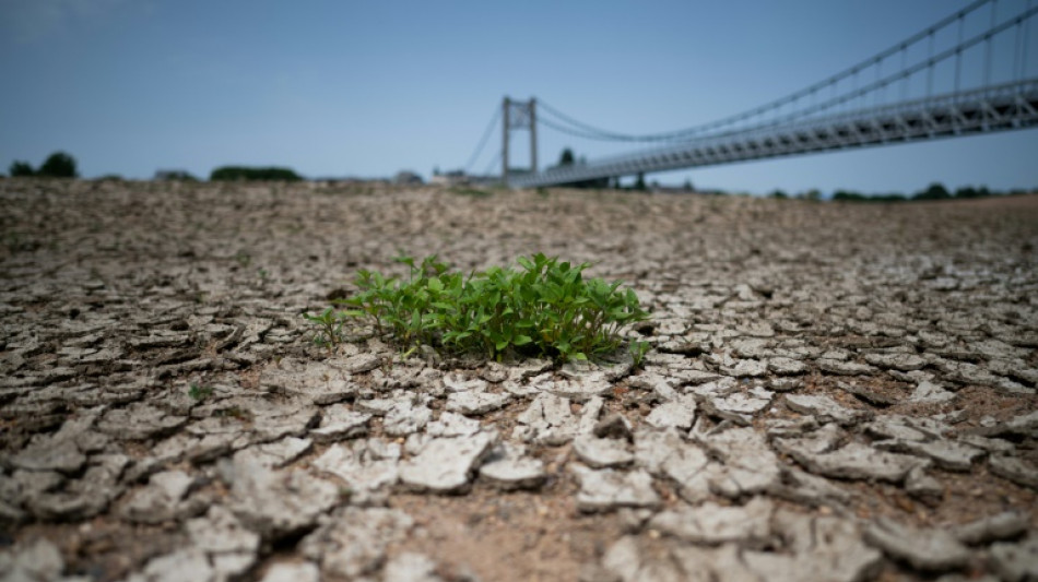 Canicule: la France étouffe, des milliers d'hectares brûlés en Espagne