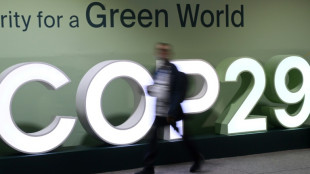 World approves UN rules for carbon trading between nations at COP29