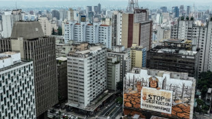 Mural gigante com cinzas da Amazônia leva luta ambiental ao centro financeiro do país