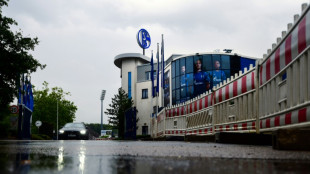 Schwerverletzte nach Massenschlägerei unter Fußballfans in Schalke