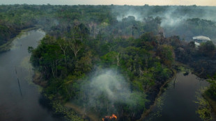 Amazônia e submarinos, receita para relançar a relação entre Brasil e França