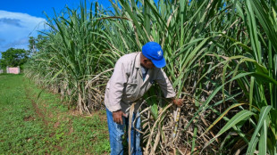 A Cuba, une coopérative sucrière se débat entre coupures d'électricité et pénuries