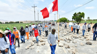 Fracasa adelanto de elecciones en un Perú con graves protestas y miles de turistas varados