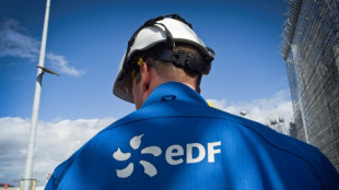 Renationalisation contestée d'EDF: la cour d'appel s'apprête à trancher