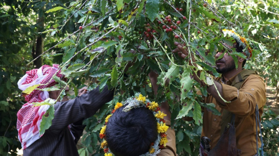 "Gahwa", el café saudita en busca de reconocimiento internacional