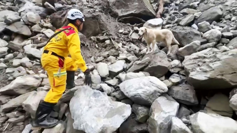 Séisme à Taïwan: à la recherche de victimes, les chiens sauveteurs gagnent les coeurs