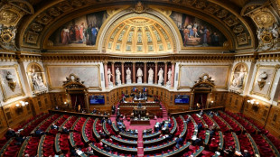 Budget 2024: le Sénat passe au vote des recettes de l'Etat, sans avoir convaincu l'exécutif