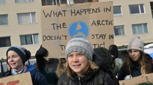 Thunberg y jóvenes activistas se manifiestan en Davos por la "justicia climática"