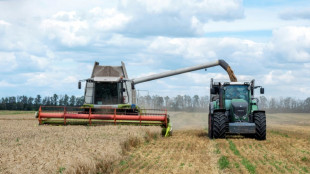 Céréales: l'Ukraine s'attend à de premières exportations "dès cette semaine"