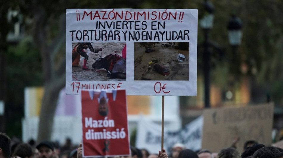 Decenas de miles de personas protestan en Valencia contra la gestión de las inundaciones