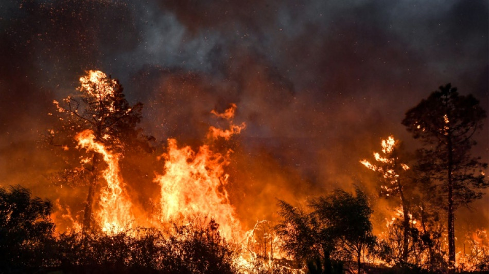 Algérie: la majorité des incendies éteints, encore 13 en cours